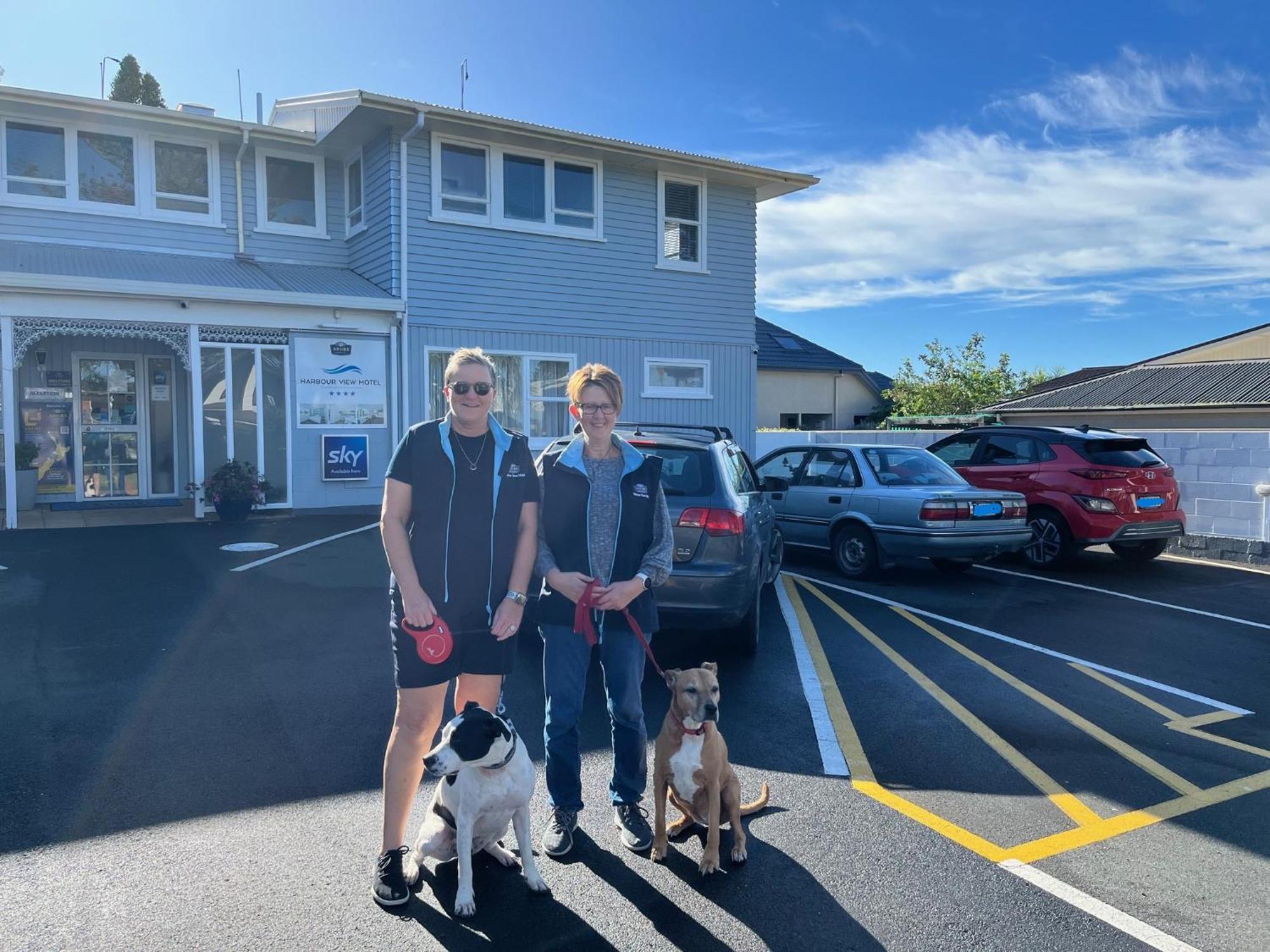 Harbour View Motel And Waterfront Apartments Tauranga Exterior photo